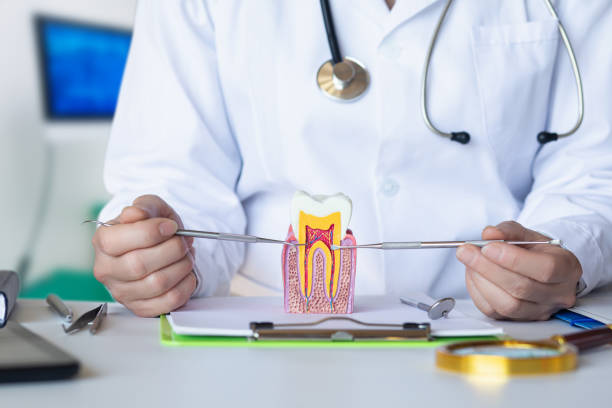 Best Dentist Open Late Near Me  in Brandywine, MD